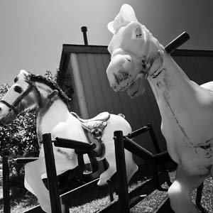 Jerry van de Beek - Carousel Horses