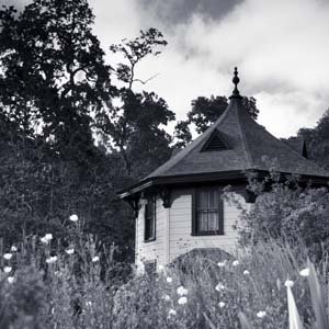 Jerry van de Beek - Garden House