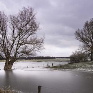 Jerry van de Beek - Frozen River