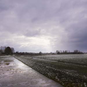 Jerry van de Beek - Dutch Landscape in Winter