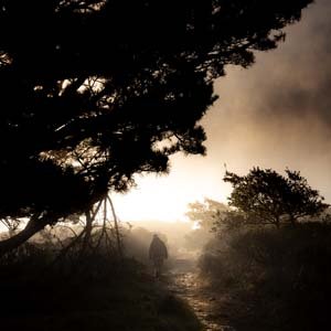 Jerry van de Beek - Foggy Landscape
