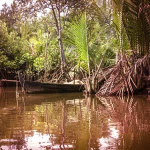 Jerry van de Beek - Mangroves with Boat