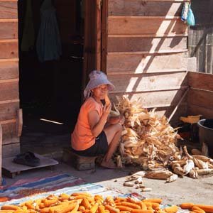 Jerry van de Beek - Woman Shucking Corn in Indonesia